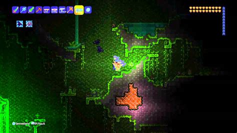 The Underground Jungle is a dense network of small caverns, composed primarily of Mud, pools of Water, Thorny bushes, and Bee Hive traps. . Jungle spores terraria